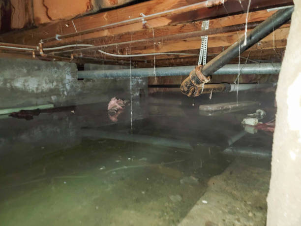 Trusted Hooper, NE Water damage restoration Experts