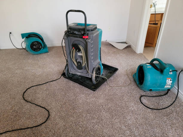 Best Emergency water damage restoration  in Hooper, NE