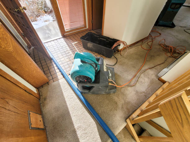 Best Water damage restoration experts  in Hooper, NE