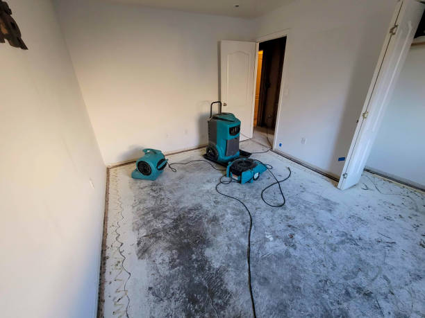 Best Water damage restoration near me  in Hooper, NE