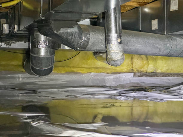 Best Water damage restoration mold remediation  in Hooper, NE