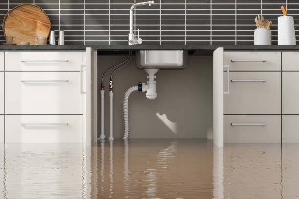 Best Water damage contractors near me  in Hooper, NE