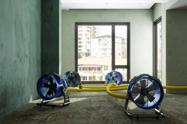Best Carpet water damage restoration  in Hooper, NE