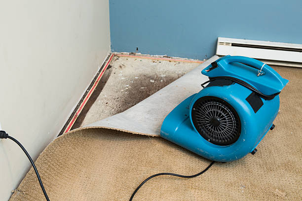 Best Sewage cleanup and water damage restoration  in Hooper, NE